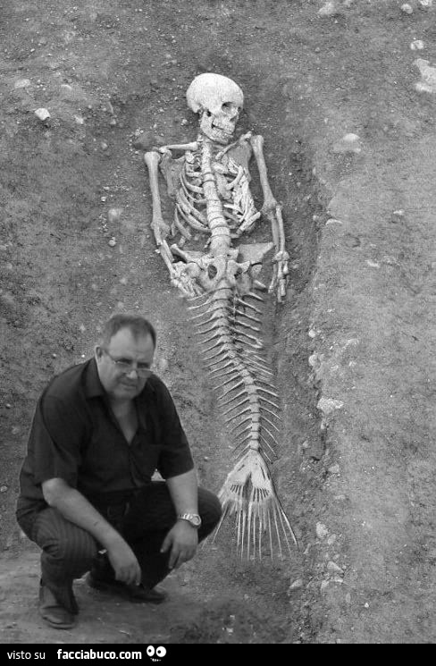 Scheletro di una Sirena