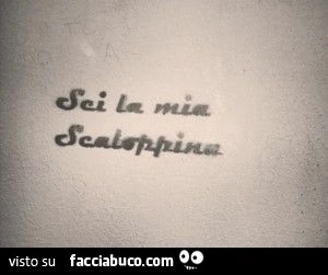 Sei la mia scaloppina