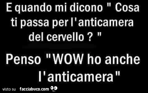 E quando mi dicono: cosa ti passa per l'anticamera del cervello? Penso wow ho anche l'anticamera