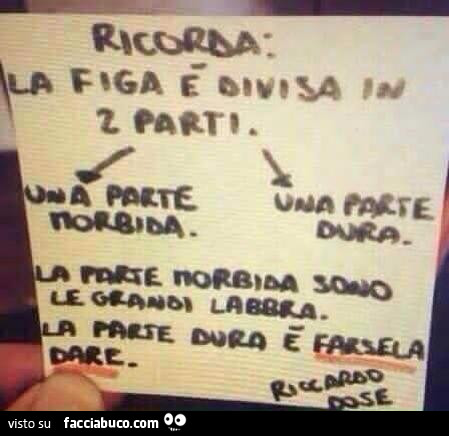 Ricorda: la figa è divisa in 2 parti. Una parte morbida. Una parte dura