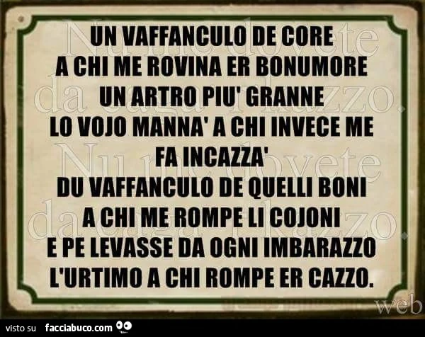 Un vaffanculo de core a chi me rovina er bonumore