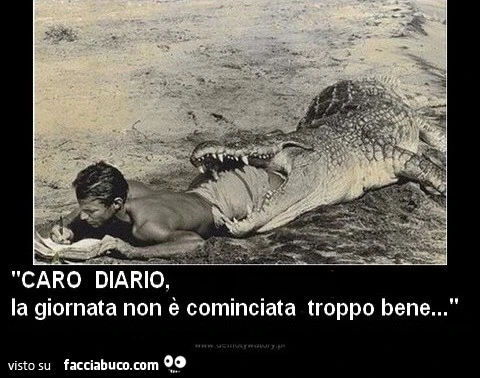 Uomo in bocca al coccodrillo. Caro diario, la giornata non è cominciata troppo bene