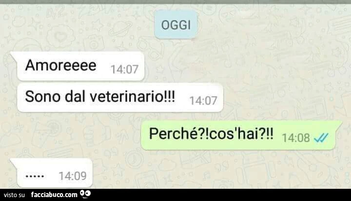 Amore sono dal veterinario! Perchè? Cos'hai?