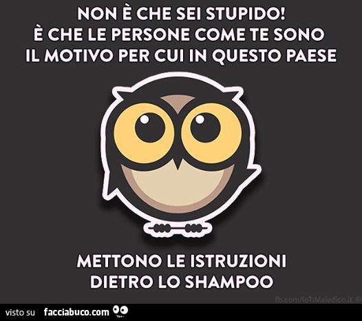 Non è che sei stupido! È Che le persone come te sono il motivo per cui in questo paese mettono le istruzioni dietro lo shampoo