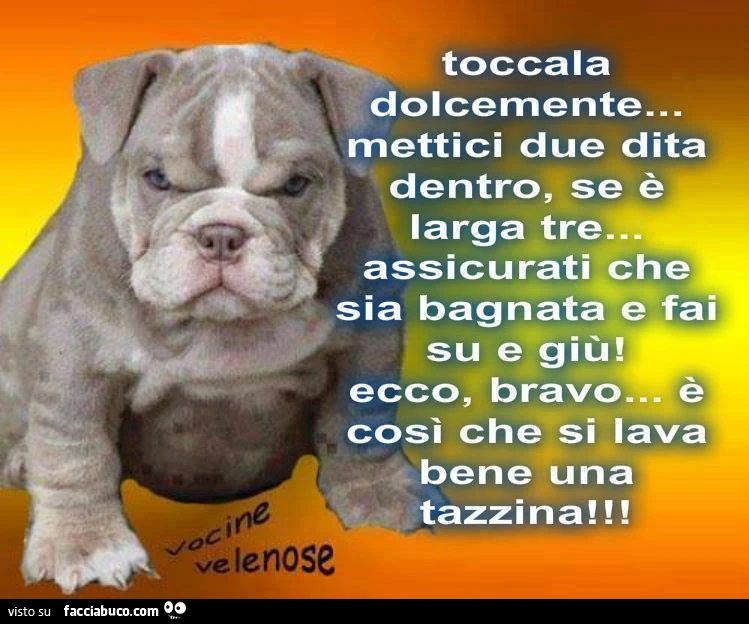 Toccala dolcemente, mettici due dita dentro, se è larga tre assicurati che sia bagnata e fai su e giù. Ecco, bravo, è così che si lava bene una tazzina