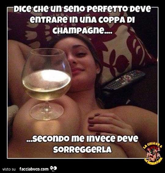 Dice che un seno perfetto deve entrare in una coppa di Champagne. Secondo me invece deve sorreggerla