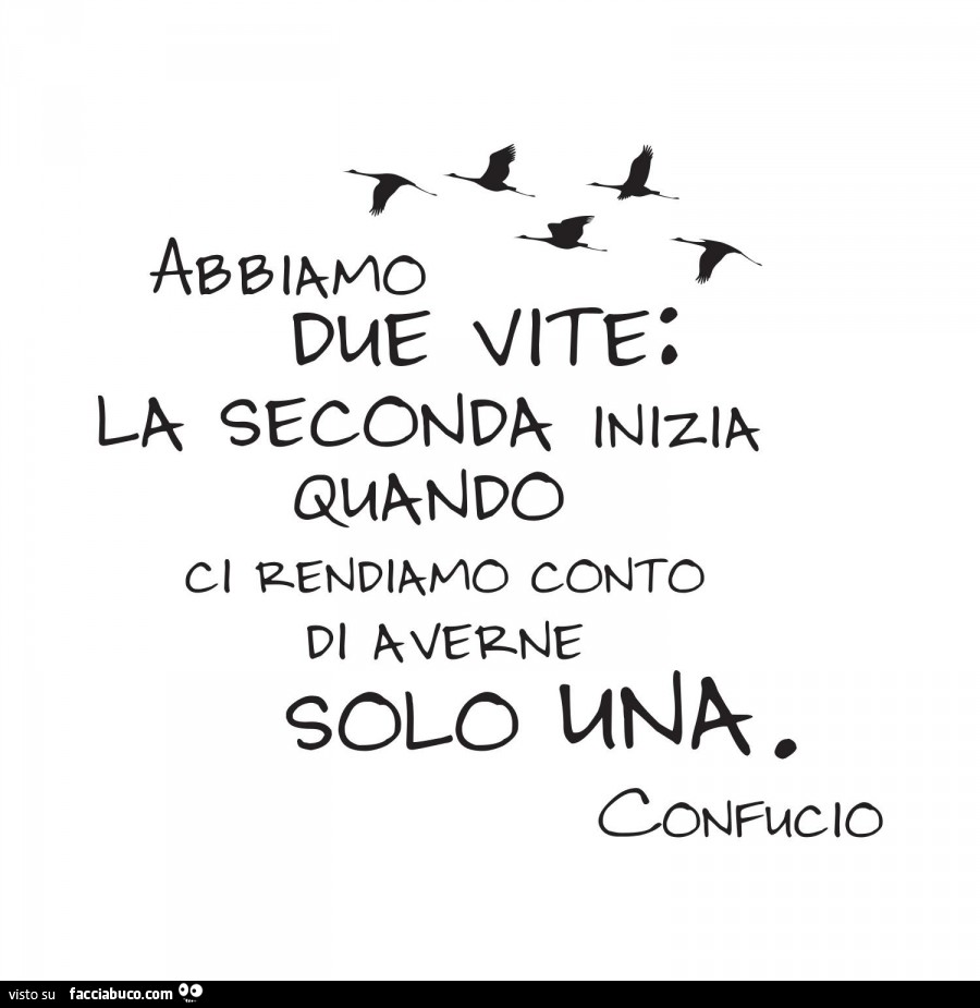 Abbiamo due vite: la seconda inizia quando ci rendiamo conto di averne solo una. Confucio
