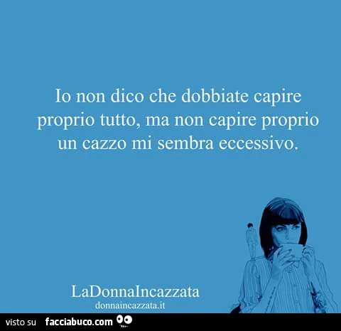 Io non dico che dobbiate capire proprio tutto, ma non capire proprio un cazzo mi sembra eccessivo