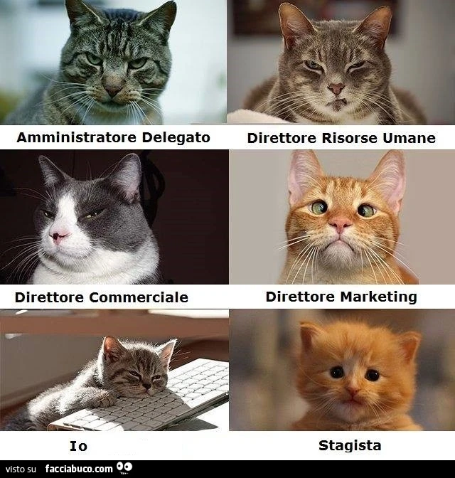 Amministratore delegato. Direttore risorse umane. Direttore commerciale. Direttore marketing. Io. Stagista