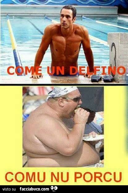 Come un delfino. Comu nu porcu