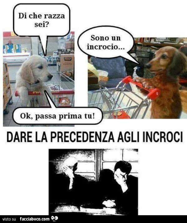 Incroci
