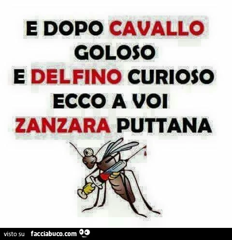 E dopo cavallo goloso e delfino curioso ecco a voi zanzara puttana