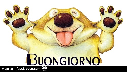 Buongiorno dall'orsetto lavatore