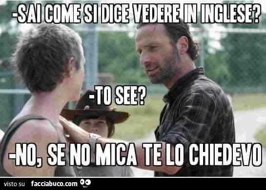 Sai come si dice vedere in inglese? To see? No, se no mica te lo chiedevo