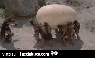 Vaccata