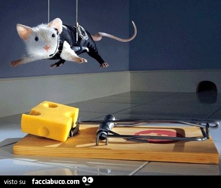 Topolino in versione mission impossible per catturare il formaggio sopra la trappola