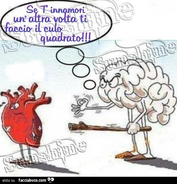 Cervello al cuore. Se t'innamori un'altra volta ti faccio il culo quadrato