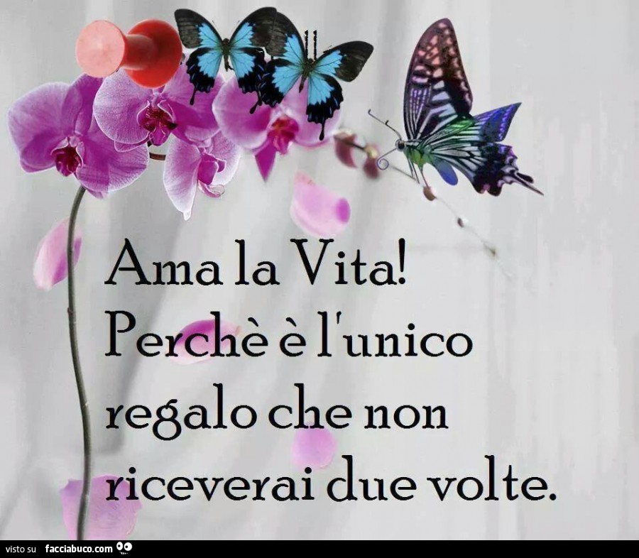 Ama la vita! Perchè è l'unico regalo che non riceverai due volte