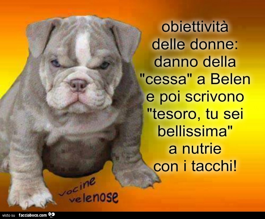 Obiettività delle donne: danno della cessa a Belen e poi scrivono tesoro, tu sei bellissima a nutrie con i tacchi