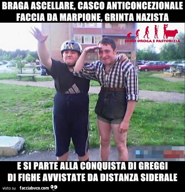 Vaccata