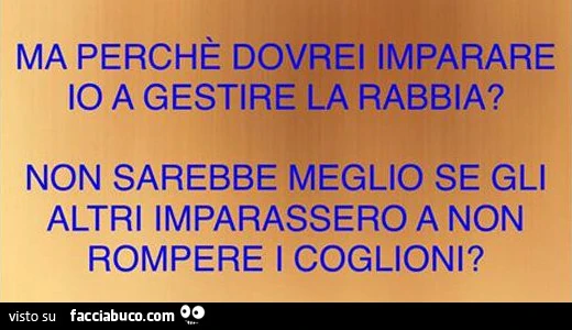 Ma perchè dovrei imparare io a gestire la rabbia? Non sarebbe meglio se gli altri imparassero a non rompere i coglioni?