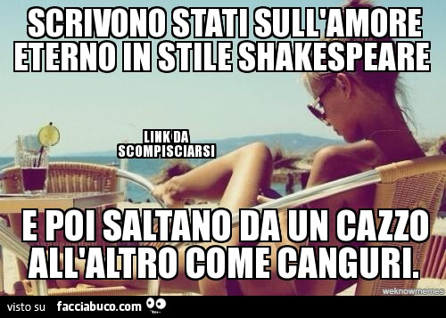 Scrivono stati sull'amore eterno in stile Shakespeare e poi saltano da un cazzo all'altro come canguri
