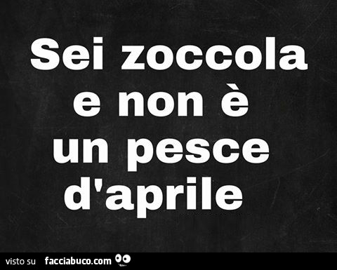 Sei zoccola e non è un pesce d'aprile