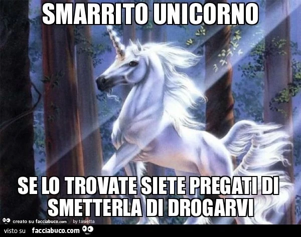 Smarrito unicorno se lo trovate siete pregati di smetterla di drogarvi