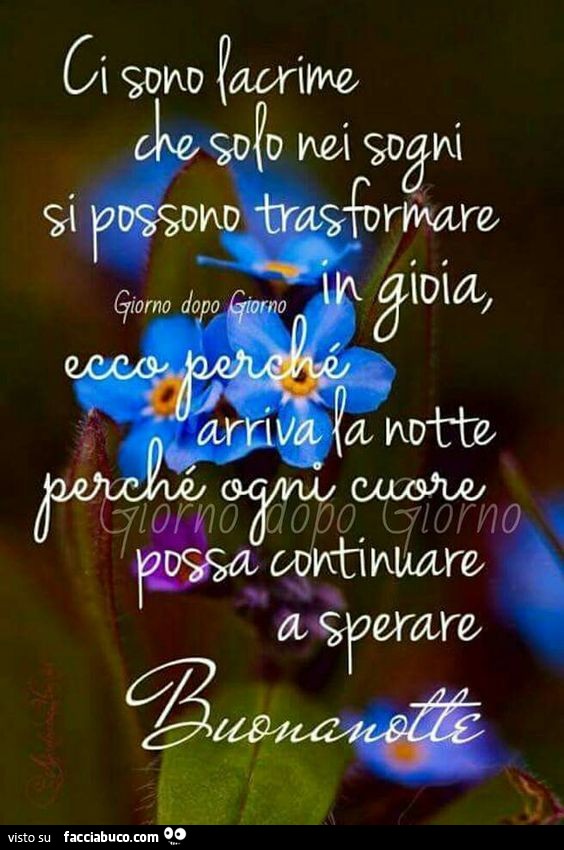 Ci sono lacrime che solo nei sogni si possono trasformare in gioia. Ecco perchè arriva la notte, perchè ogni cuore possa continuare a sperare. Buonanotte
