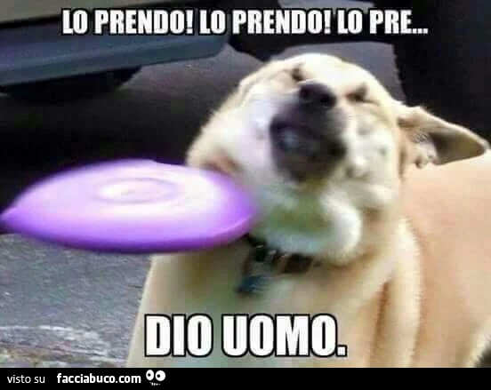 Lo prendo! Lo prendo! Lo pre&hellip; Dio uomo
