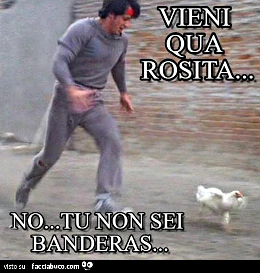 Vieni qua Rosita&hellip; No, tu non sei Banderas