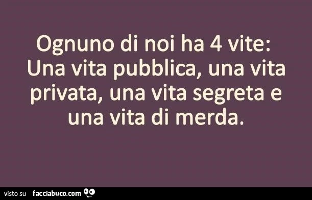 Ognuno di noi ha 4 vite: una vita pubblica, una vita privata, una vita segreta e una vita di merda