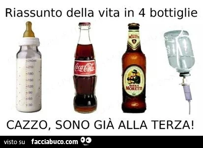 Riassunto della vita in 4 bottiglie cazzo, sono già alla terza