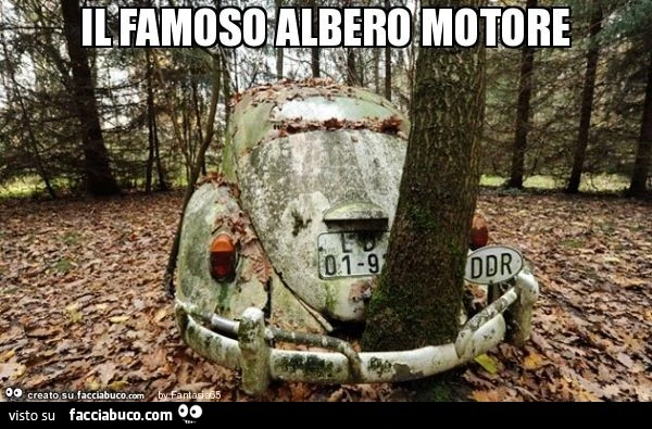 Il famoso albero motore