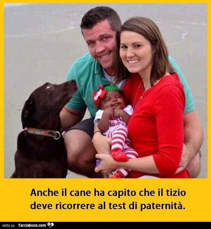 Anche il cane ha capito che il tizio deve ricorrere al test di paternità
