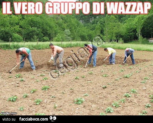 Il vero gruppo di Wazzap