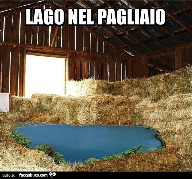 Trovare l'ago in un pagliaio