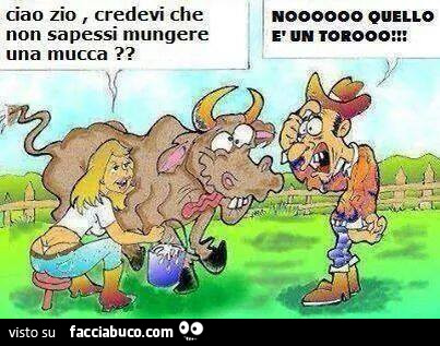Ciao zio, credevi che non sapessi mungere una mucca? No quello è un toro