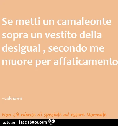 Se metti un camaleonte sopra un vestito della desigual, secondo me muore per affaticamento