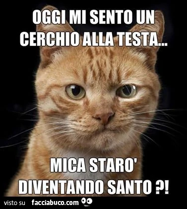 Oggi mi sento un cerchio alla testa. Mica starò diventando santo?
