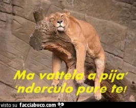 Vaccata