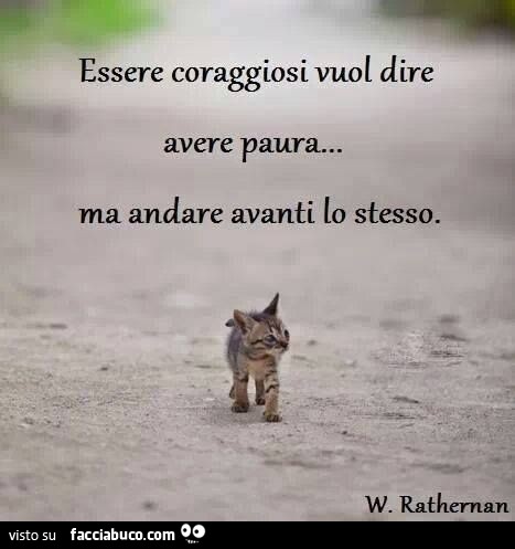 Essere coraggiosi vuol dire avere paura… ma andare avanti lo stesso. W. Rathernan