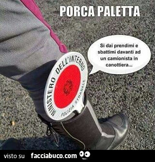 Porca paletta