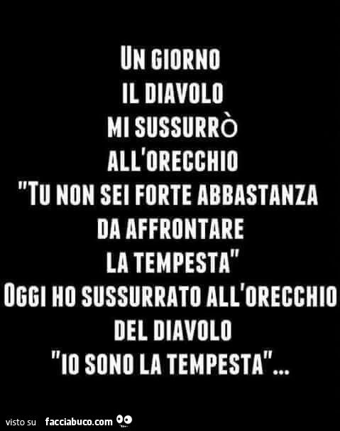 Un giorno il diavolo mi sussurrò all'orecchio: tu non sei forte abbastanza da affrontare la tempesta. Oggi ho sussurrato all'orecchio del diavolo: io sono la tempesta