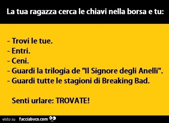 La tua ragazza cerca le chiavi nella borsa e tu: trovi le tue. Entri. Ceni. Guardi la trilogia de il signore degli anelli. Guardi tutte le stagioni di breaking bad. Senti urlare: trovate
