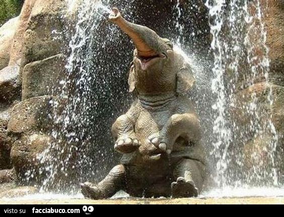 Simpatico elefante seduto a terra che spruzza acqua dalla proboscide