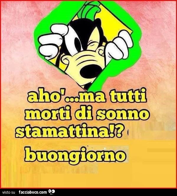 Ahò ma tutti morti di sonno stamattina!? Buongiorno