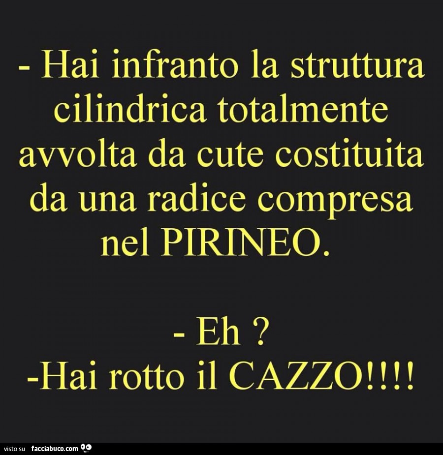 Hai infranto la struttura cilindrica totalmente avvolta da cute costituita da una radice compresa nel pirineo. Eh? Hai rotto il cazzo