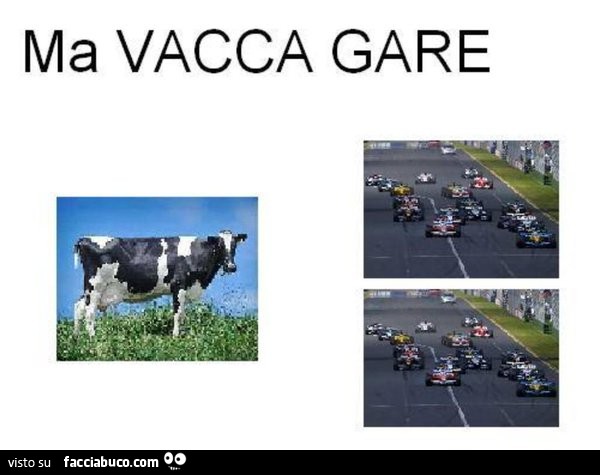 Ma vacca gare