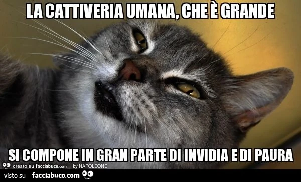 La cattiveria umana, che è grande si compone in gran parte di invidia e di paura